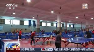 bsports必一体育 室内健身器材大飞鸟